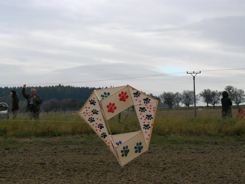 img00037.jpg