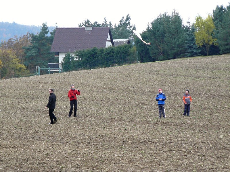 img00041.jpg