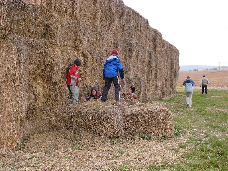 img00045.jpg