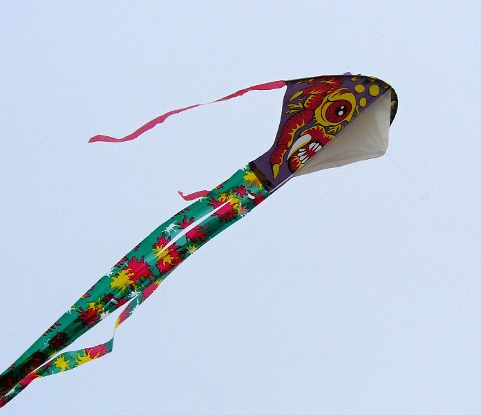 img00049.jpg