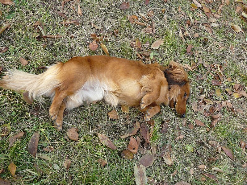 img00057.jpg