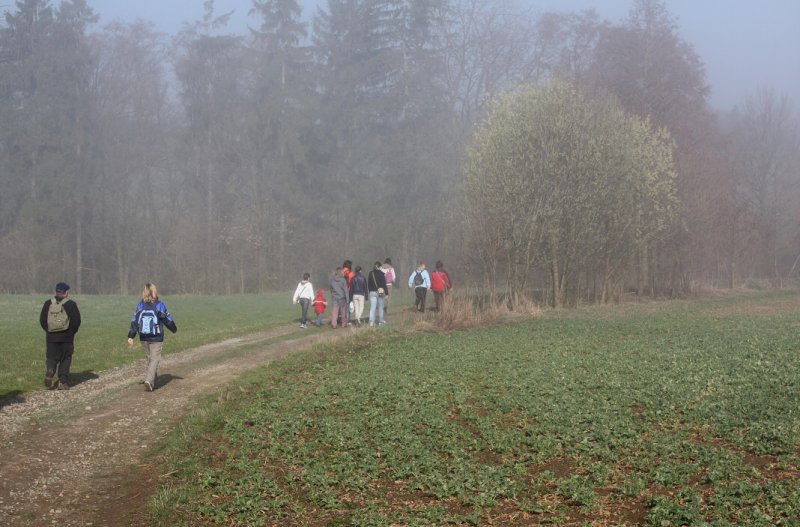 img00010.jpg