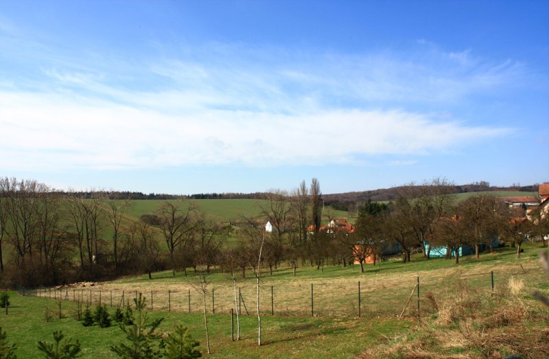 img00037.jpg