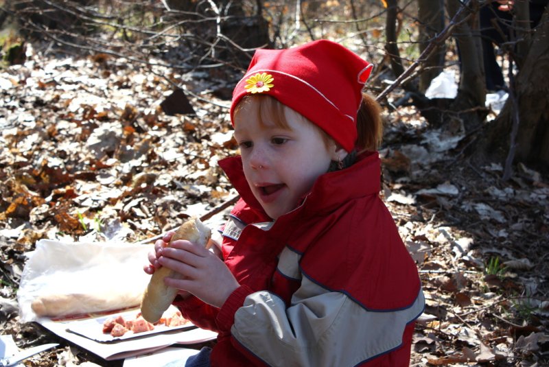 img00056.jpg