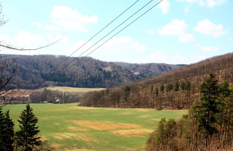 img00076.jpg