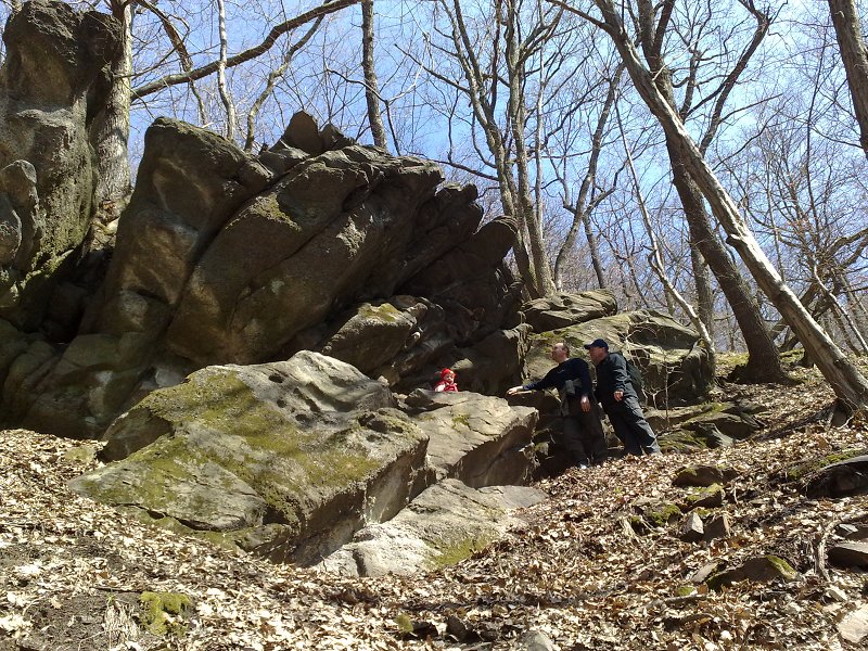 img00077.jpg