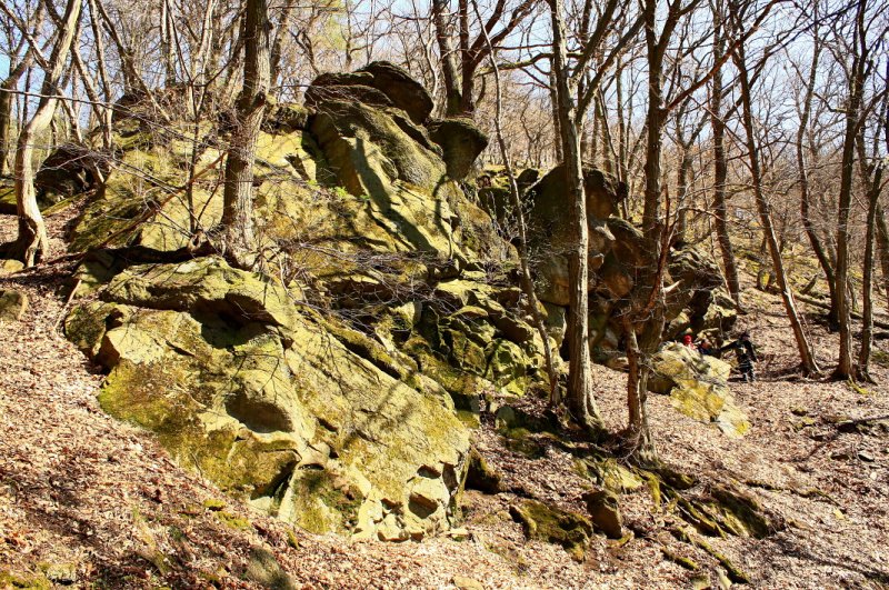 img00082.jpg