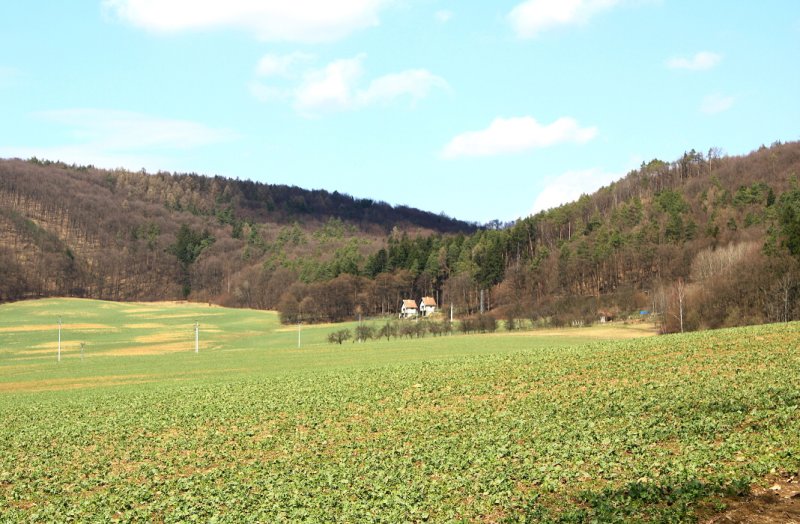 img00090.jpg