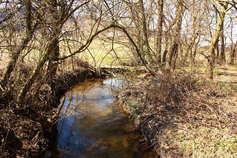 img00095.jpg