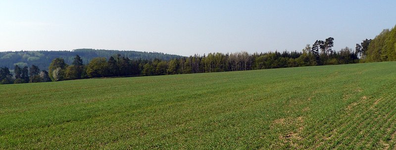 img00007.jpg