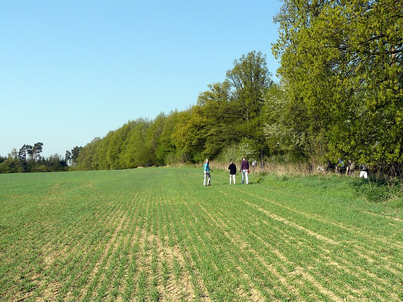 img00008.jpg