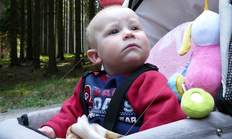 img00025.jpg