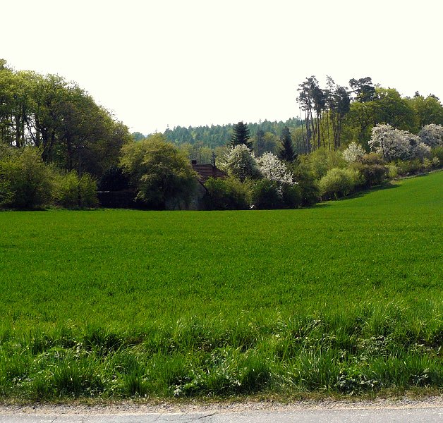 img00026.jpg