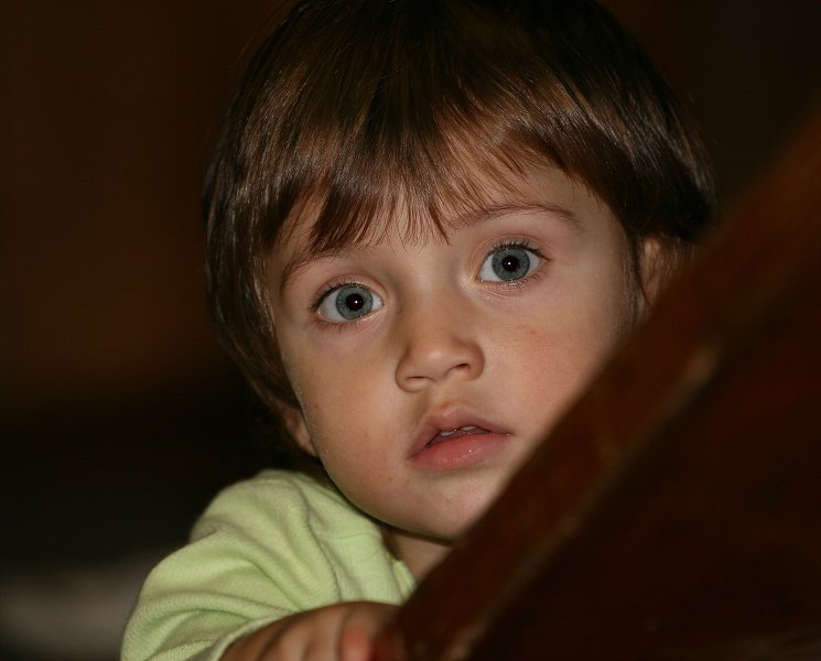 img00017.jpg