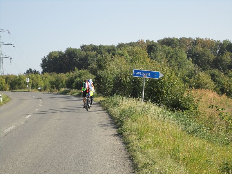 img00007.jpg