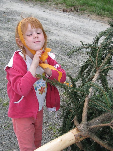 img00005.jpg