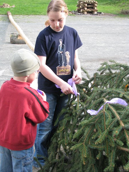 img00006.jpg