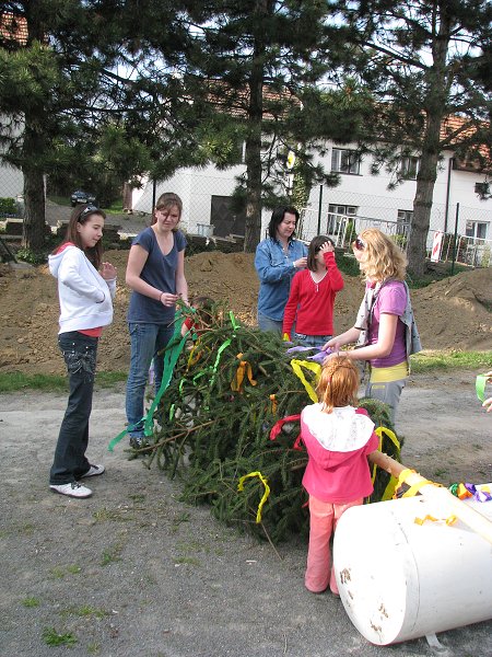 img00007.jpg