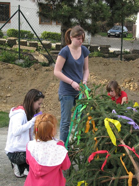 img00008.jpg