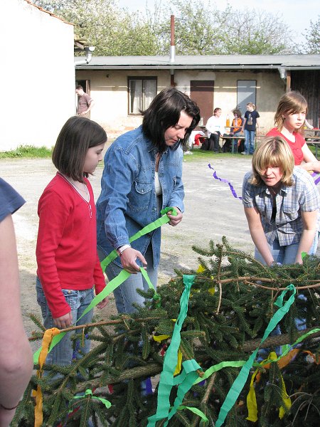 img00009.jpg