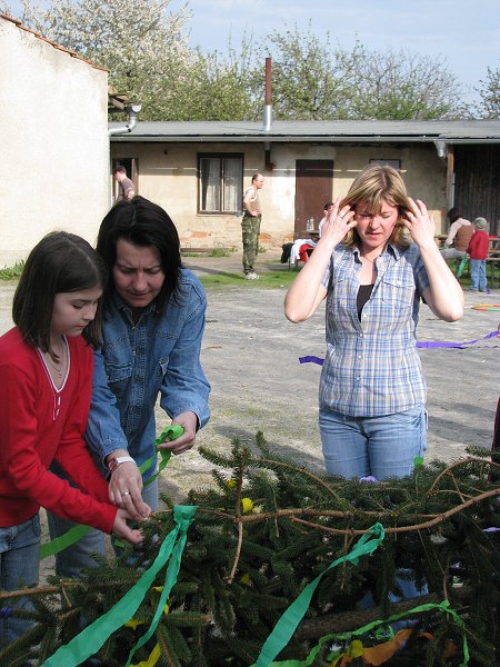 img00010.jpg