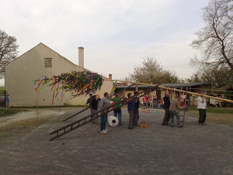 img00028.jpg