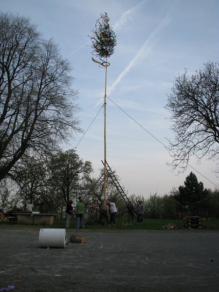 img00037.jpg