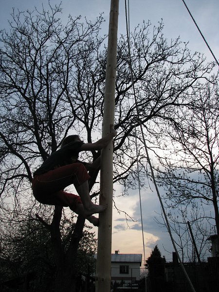 img00060.jpg
