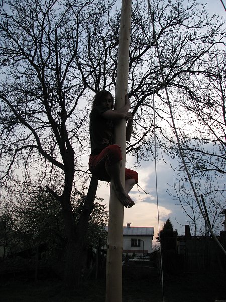 img00061.jpg