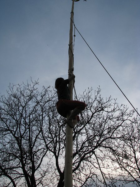 img00062.jpg