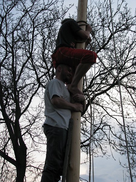 img00063.jpg