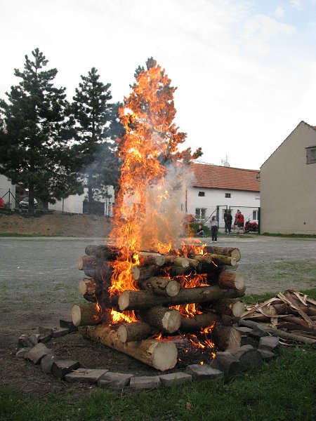 img00074.jpg