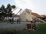thn00033.jpg