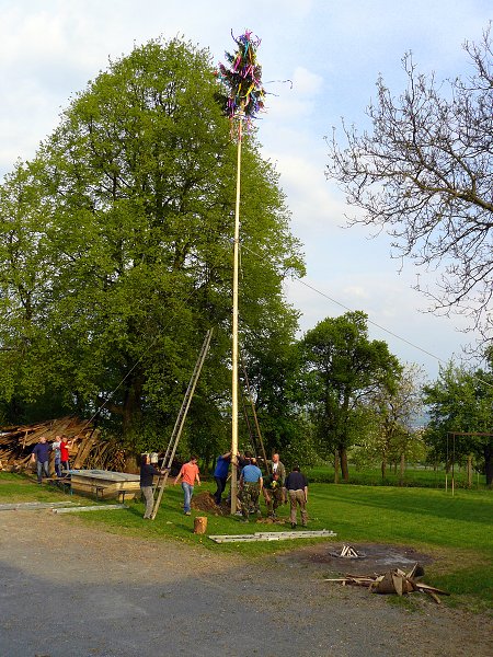 img00031.jpg