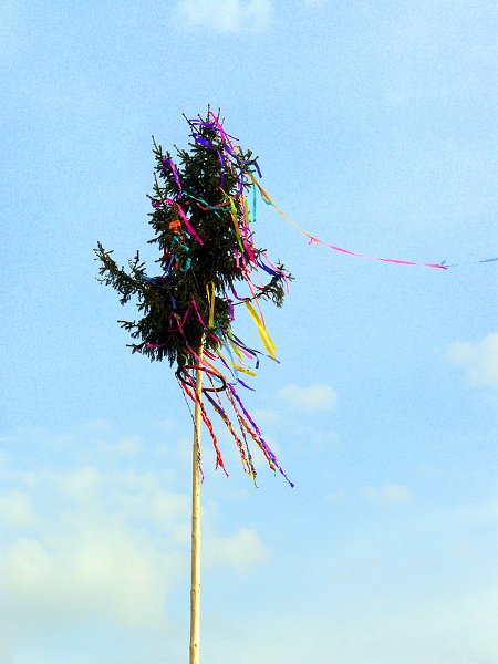 img00037.jpg