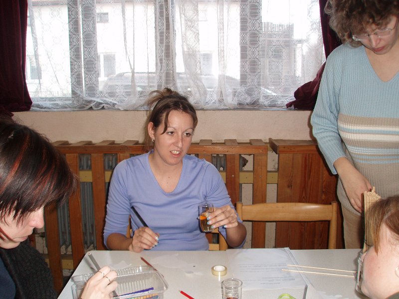 img00017.jpg