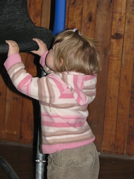 img00006.jpg