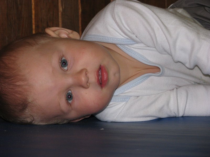 img00052.jpg