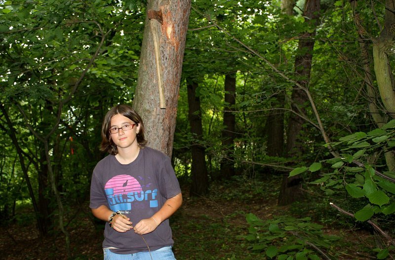 img00109.jpg