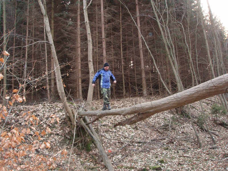 img00019.jpg