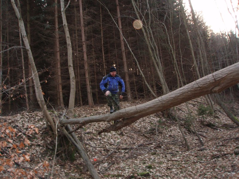 img00020.jpg