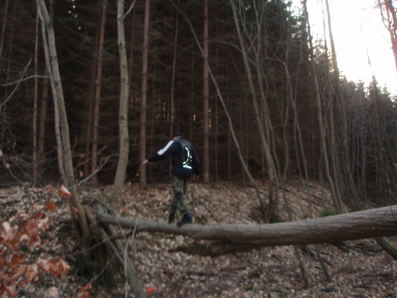 img00023.jpg