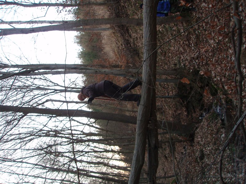 img00026.jpg