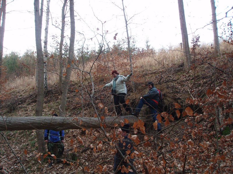 img00028.jpg