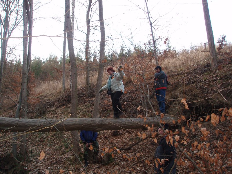 img00029.jpg