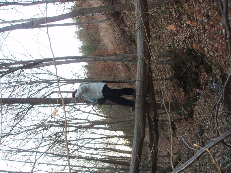 img00030.jpg