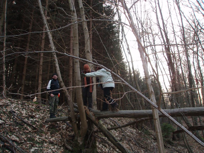 img00031.jpg