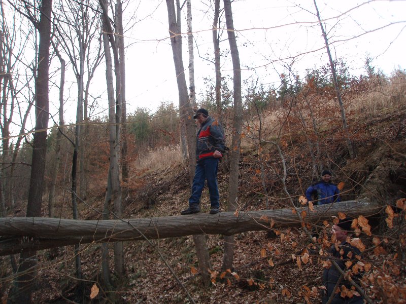 img00032.jpg
