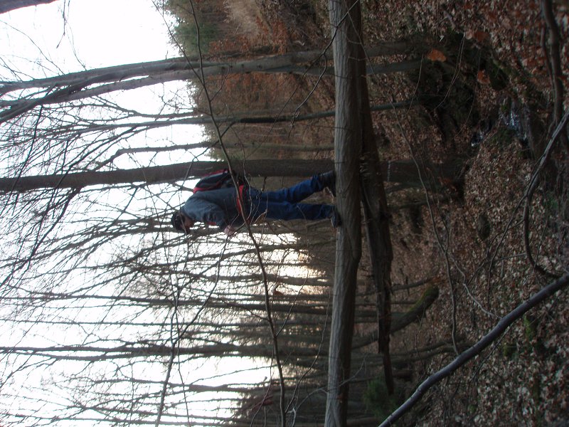 img00033.jpg