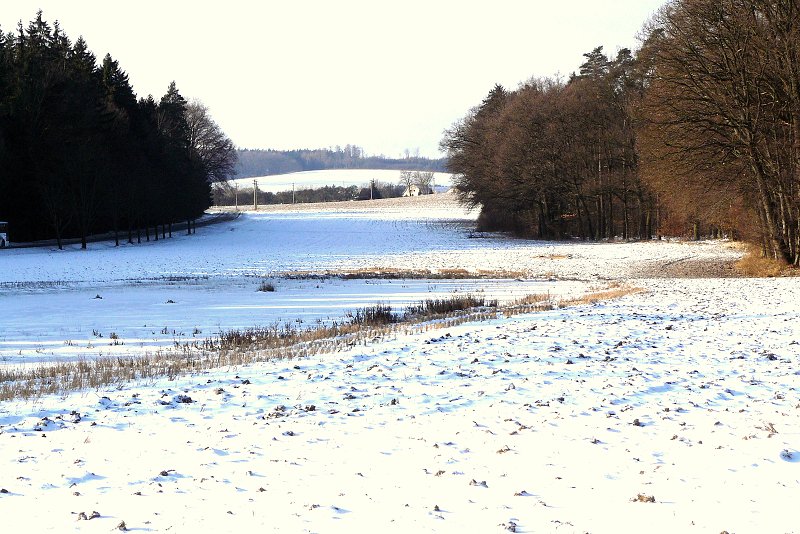 img00042.jpg